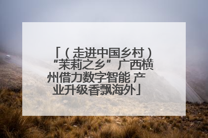 （走进中国乡村）“茉莉之乡”广西横州借力数字智能 产业升级香飘海外