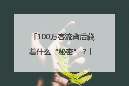 100万客流背后藏着什么“秘密”？