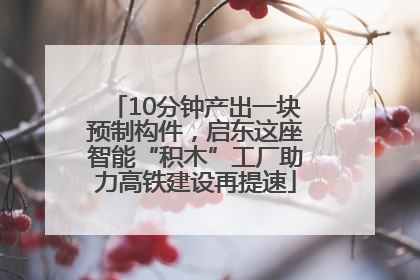 10分钟产出一块预制构件，启东这座智能“积木”工厂助力高铁建设再提速
