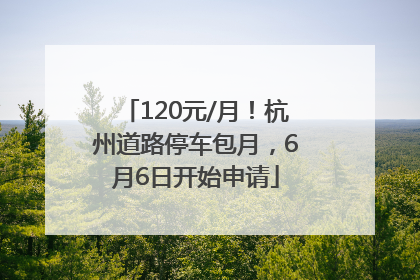 120元/月！杭州道路停车包月，6月6日开始申请
