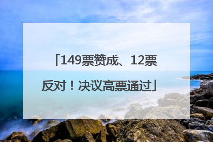 149票赞成、12票反对！决议高票通过