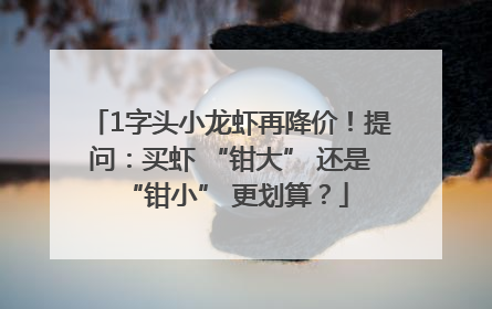 1字头小龙虾再降价!提问:买虾 “钳大” 还是 “钳小” 更划算?