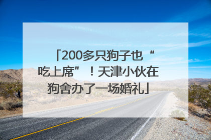 200多只狗子也“吃上席”！天津小伙在狗舍办了一场婚礼
