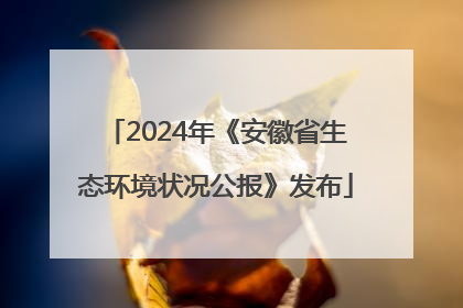 2024年《安徽省生态环境状况公报》发布