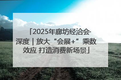 2025年廊坊经洽会·深度｜放大“会展+”乘数效应 打造消费新场景