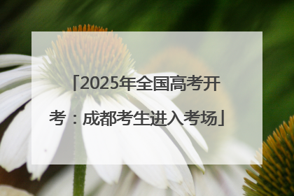 2025年全国高考开考：成都考生进入考场
