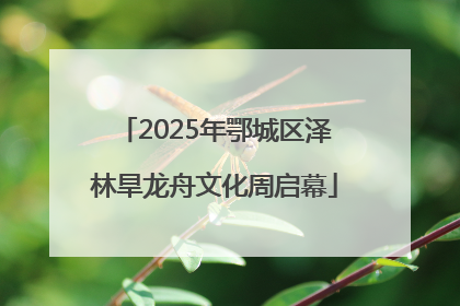 2025年鄂城区泽林旱龙舟文化周启幕