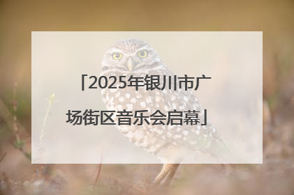 2025年银川市广场街区音乐会启幕