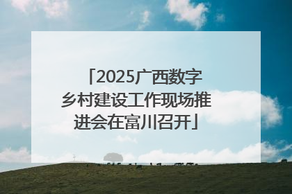 2025广西数字乡村建设工作现场推进会在富川召开