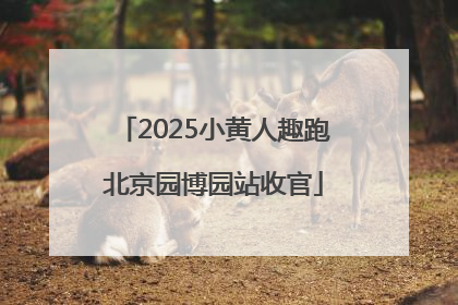2025小黄人趣跑北京园博园站收官