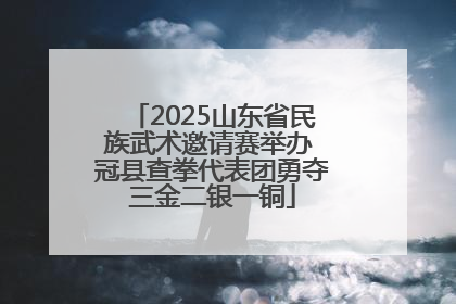 2025山东省民族武术邀请赛举办 冠县查拳代表团勇夺三金二银一铜