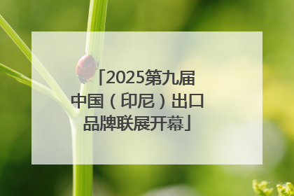 2025第九届中国（印尼）出口品牌联展开幕