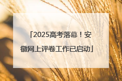 2025高考落幕！安徽网上评卷工作已启动