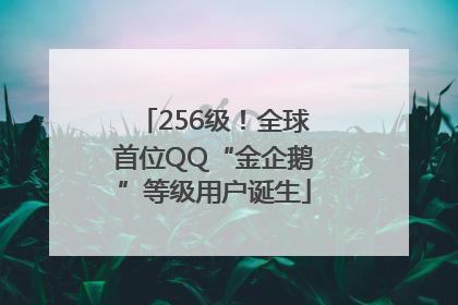 256级！全球首位QQ“金企鹅”等级用户诞生