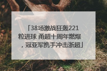 38场激战狂轰221粒进球 甬超十周年燃爆，冠亚军携手冲击浙超