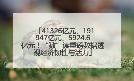 41326亿元、191947亿元、5924.6亿元！“数”读重磅数据透视经济韧性与活力