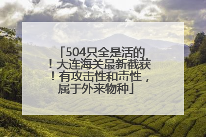 504只全是活的！大连海关最新截获！有攻击性和毒性，属于外来物种