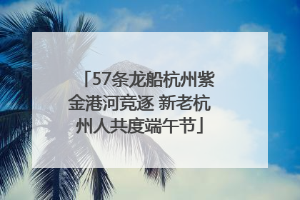 57条龙船杭州紫金港河竞逐 新老杭州人共度端午节