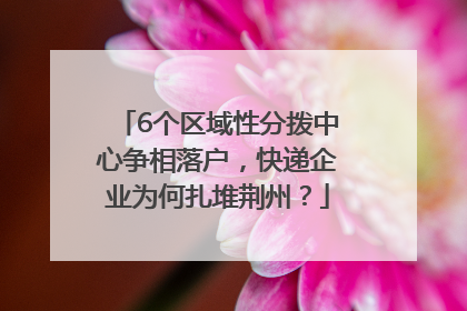 6个区域性分拨中心争相落户，快递企业为何扎堆荆州？