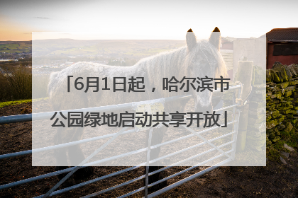 6月1日起，哈尔滨市公园绿地启动共享开放