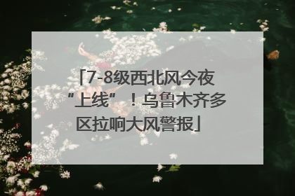 7-8级西北风今夜“上线”！乌鲁木齐多区拉响大风警报