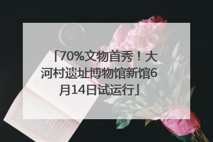 70%文物首秀！大河村遗址博物馆新馆6月14日试运行