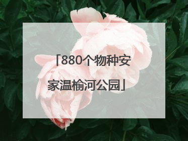 880个物种安家温榆河公园