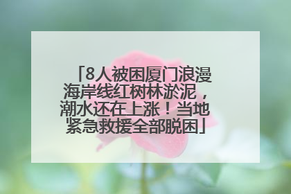 8人被困厦门浪漫海岸线红树林淤泥，潮水还在上涨！当地紧急救援全部脱困