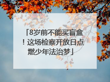 8岁前不能买盲盒！这场检察开放日点燃少年法治梦