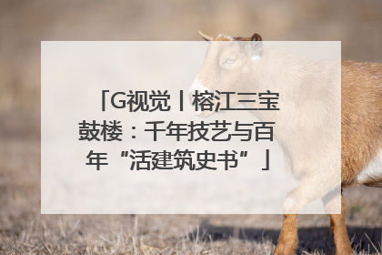 G视觉丨榕江三宝鼓楼：千年技艺与百年“活建筑史书”