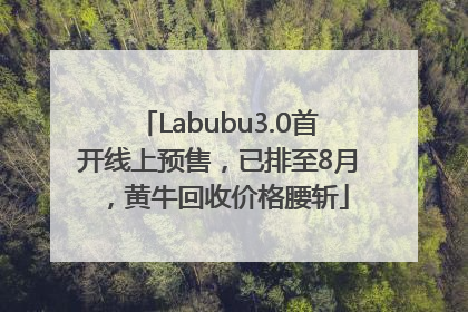 Labubu3.0首开线上预售，已排至8月，黄牛回收价格腰斩